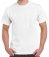 GD21 Gildan Hammer Heavyweight T-Shirt