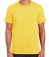 GD01 Gildan SoftStyle Ringspun T-Shirt