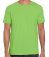 GD01 Gildan SoftStyle Ringspun T-Shirt