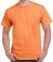 GD02 Gildan Ultra Cotton T-Shirt