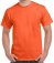 GD05 Gildan Heavy Cotton T-Shirt